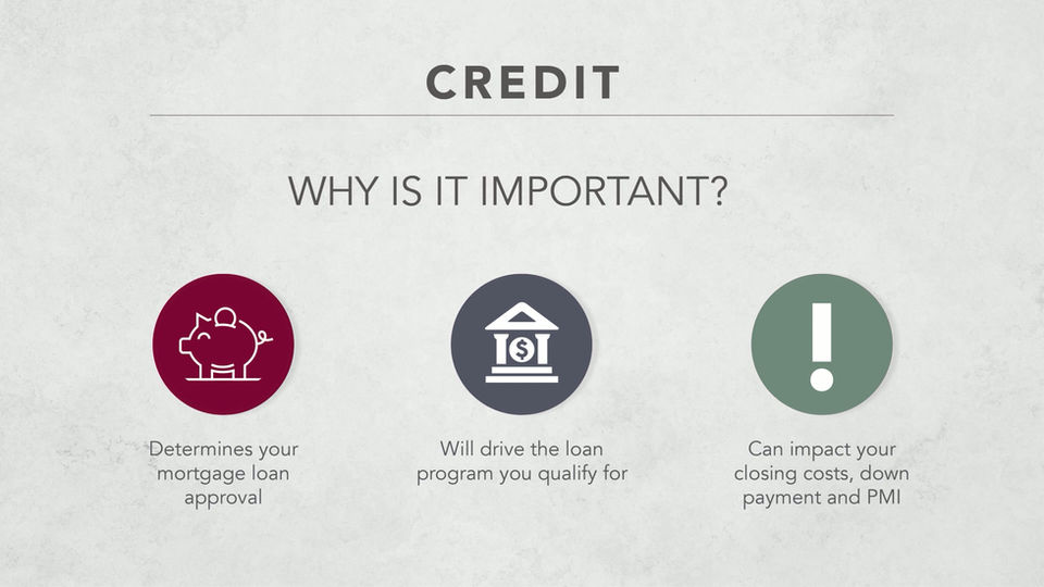 Partners FCU Animation Compilation Reel